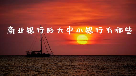 商业银行的大中小银行有哪些_https://m.ycdhulan.com_国际金融_第1张