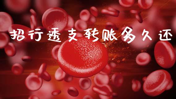 招行透支转账多久还_https://m.ycdhulan.com_期货交易_第1张