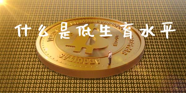 什么是低生育水平_https://m.ycdhulan.com_财经要闻_第1张