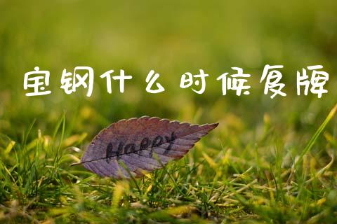 宝钢什么时候复牌_https://m.ycdhulan.com_国际金融_第1张