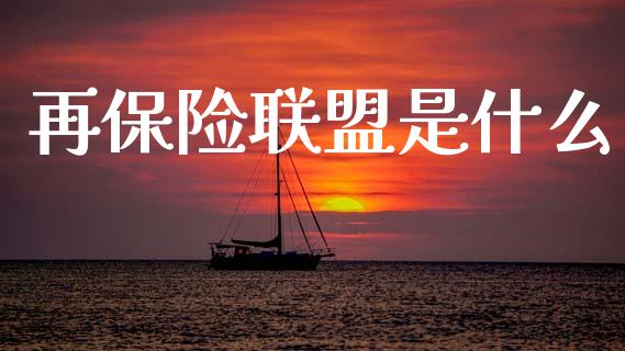 再保险联盟是什么_https://m.ycdhulan.com_股市在线_第1张