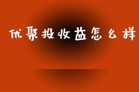 优聚投收益怎么样_https://m.ycdhulan.com_国际金融_第1张