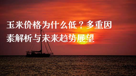 玉米价格为什么低？多重因素解析与未来趋势展望_https://m.ycdhulan.com_理财产品_第1张