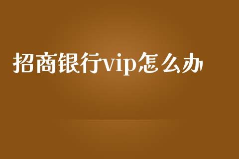 招商银行vip怎么办_https://m.ycdhulan.com_财经要闻_第1张