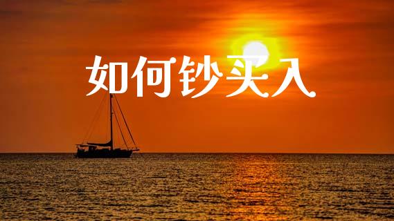 如何钞买入_https://m.ycdhulan.com_证券新闻_第1张