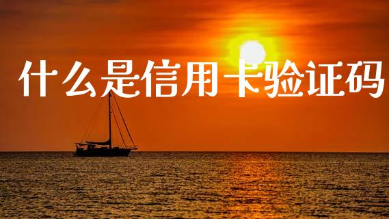 什么是信用卡验证码_https://m.ycdhulan.com_财经要闻_第1张