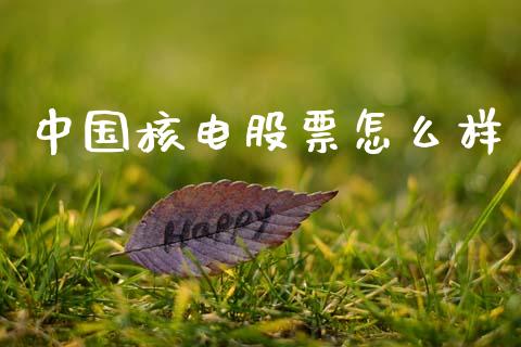 中国核电股票怎么样_https://m.ycdhulan.com_国际金融_第1张