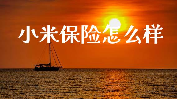 小米保险怎么样_https://m.ycdhulan.com_理财产品_第1张