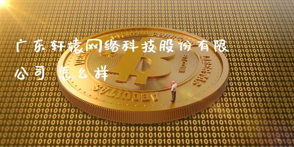 广东轩辕网络科技股份有限公司 怎么样_https://m.ycdhulan.com_国际金融_第1张