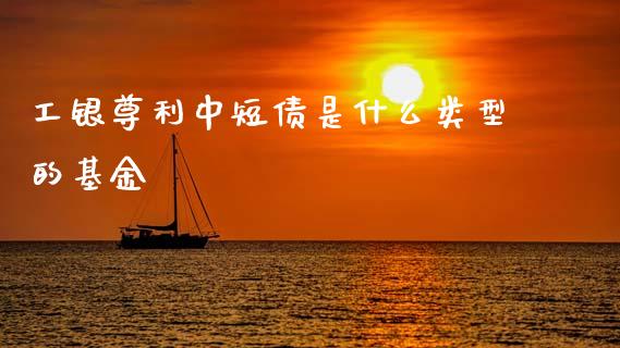 工银尊利中短债是什么类型的基金_https://m.ycdhulan.com_期货交易_第1张
