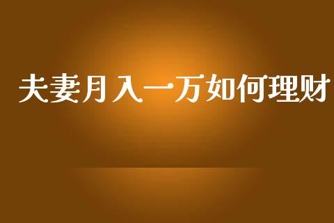 夫妻月入一万如何理财_https://m.ycdhulan.com_财经要闻_第1张