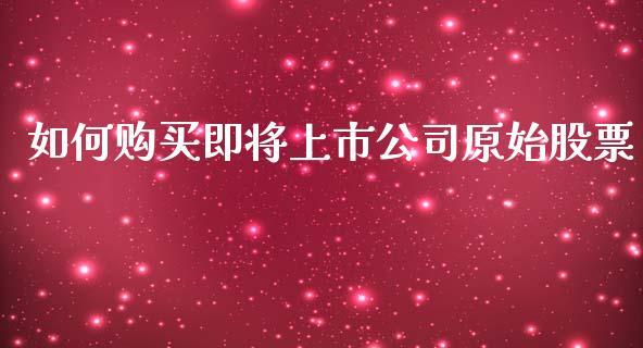 如何购买即将上市公司原始股票_https://m.ycdhulan.com_国际金融_第1张