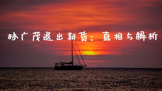 林广茂退出期货：真相与解析_https://m.ycdhulan.com_理财产品_第1张