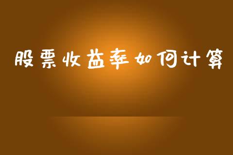 股票收益率如何计算_https://m.ycdhulan.com_国际金融_第1张