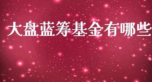 大盘蓝筹基金有哪些_https://m.ycdhulan.com_财经要闻_第1张