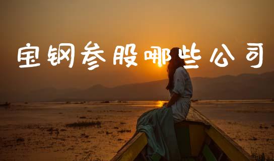 宝钢参股哪些公司_https://m.ycdhulan.com_期货交易_第1张