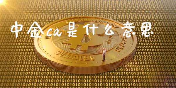 中金ca是什么意思_https://m.ycdhulan.com_期货交易_第1张