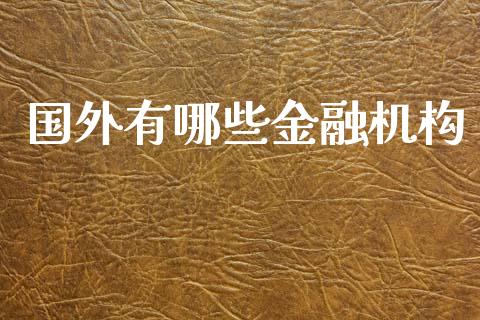 国外有哪些金融机构_https://m.ycdhulan.com_财经要闻_第1张