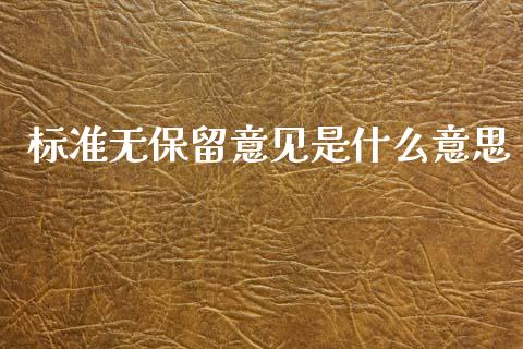 标准无保留意见是什么意思_https://m.ycdhulan.com_财经要闻_第1张