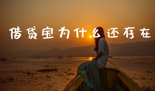 借贷宝为什么还存在_https://m.ycdhulan.com_证券新闻_第1张