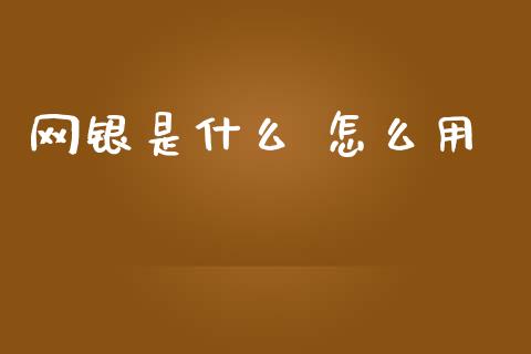 网银是什么 怎么用_https://m.ycdhulan.com_国际金融_第1张