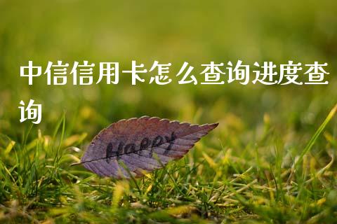 中信信用卡怎么查询进度查询_https://m.ycdhulan.com_国际金融_第1张