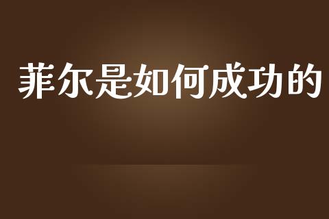 菲尔是如何成功的_https://m.ycdhulan.com_国际金融_第1张