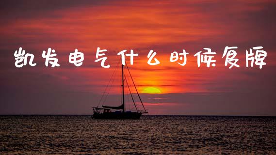 凯发电气什么时候复牌_https://m.ycdhulan.com_财经要闻_第1张