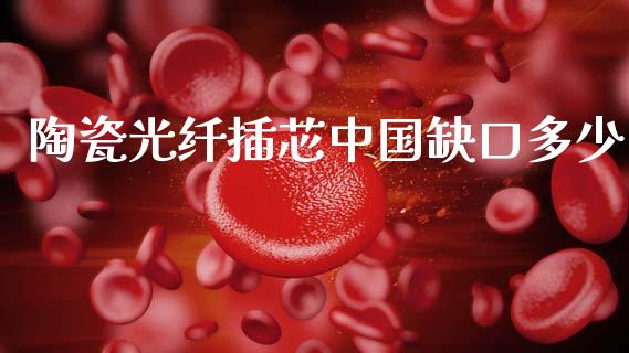 陶瓷光纤插芯中国缺口多少_https://m.ycdhulan.com_理财产品_第1张