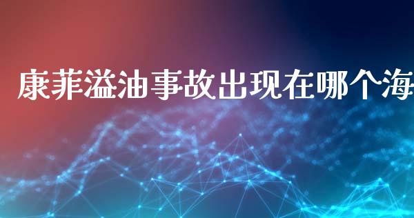 康菲溢油事故出现在哪个海_https://m.ycdhulan.com_证券新闻_第1张