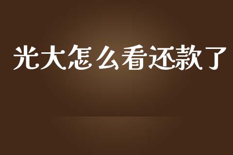 光大怎么看还款了_https://m.ycdhulan.com_理财产品_第1张
