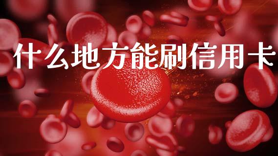 什么地方能刷信用卡_https://m.ycdhulan.com_财经要闻_第1张