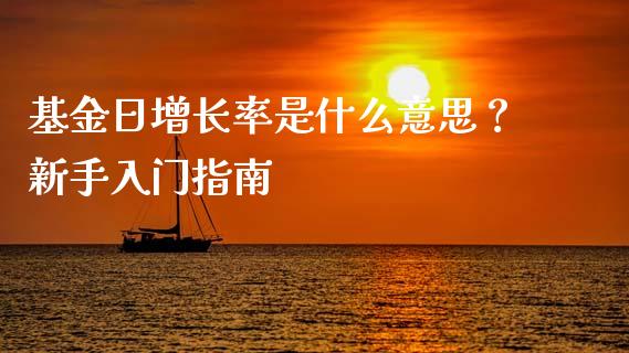 基金日增长率是什么意思？新手入门指南_https://m.ycdhulan.com_证券新闻_第1张