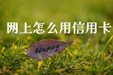 网上怎么用信用卡_https://m.ycdhulan.com_股市在线_第1张
