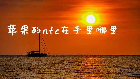 苹果的nfc在手里哪里_https://m.ycdhulan.com_财经要闻_第1张