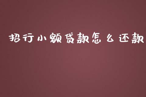 招行小额贷款怎么还款_https://m.ycdhulan.com_财经要闻_第1张