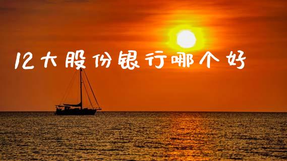 12大股份银行哪个好_https://m.ycdhulan.com_财经要闻_第1张