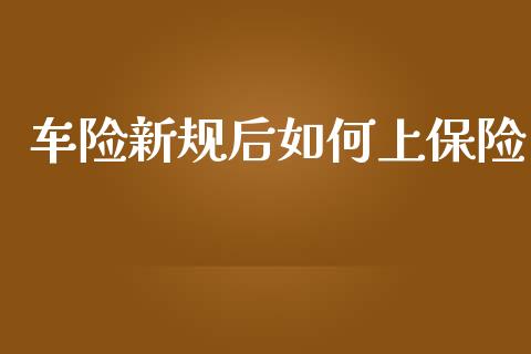 车险新规后如何上保险_https://m.ycdhulan.com_股市在线_第1张