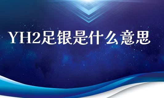 YH2足银是什么意思_https://m.ycdhulan.com_股市在线_第1张