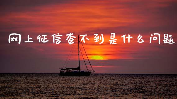 网上征信查不到是什么问题_https://m.ycdhulan.com_理财产品_第1张