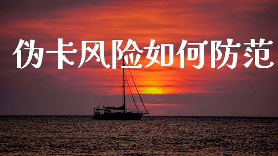 伪卡风险如何防范_https://m.ycdhulan.com_财经要闻_第1张