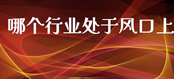 哪个行业处于风口上_https://m.ycdhulan.com_理财产品_第1张