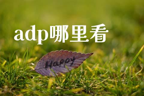 adp哪里看_https://m.ycdhulan.com_财经要闻_第1张