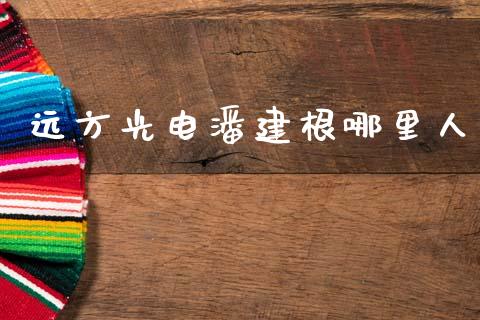 远方光电潘建根哪里人_https://m.ycdhulan.com_证券新闻_第1张