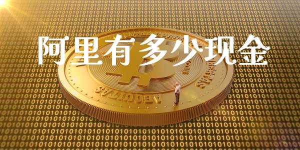 阿里有多少现金_https://m.ycdhulan.com_财经要闻_第1张