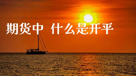 期货中  什么是开平_https://m.ycdhulan.com_股市在线_第1张