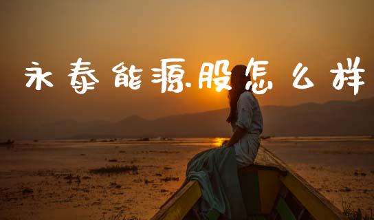 永泰能源股怎么样_https://m.ycdhulan.com_财经要闻_第1张