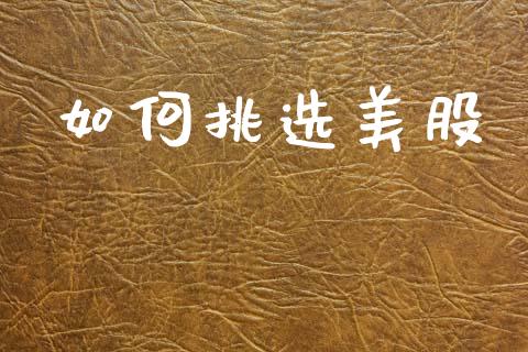 如何挑选美股_https://m.ycdhulan.com_股市在线_第1张