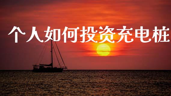 个人如何投资充电桩_https://m.ycdhulan.com_证券新闻_第1张