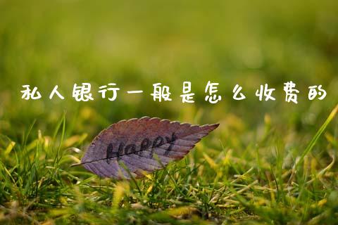 私人银行一般是怎么收费的_https://m.ycdhulan.com_证券新闻_第1张